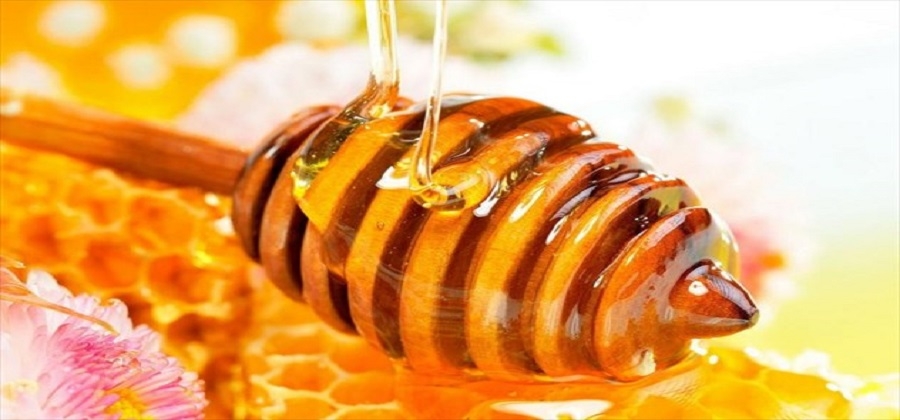 Ελληνικό Μέλι